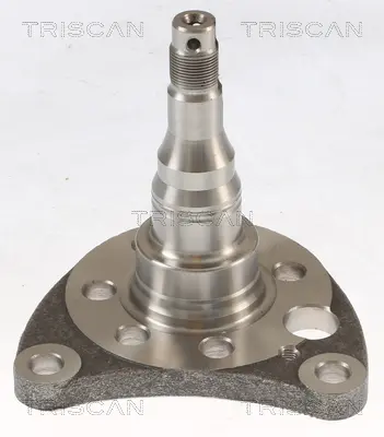 главина на колелото TRISCAN             