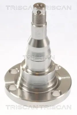 главина на колелото TRISCAN             