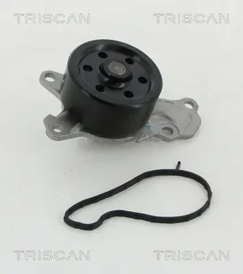 Водна помпа, охлаждане на двигателя TRISCAN