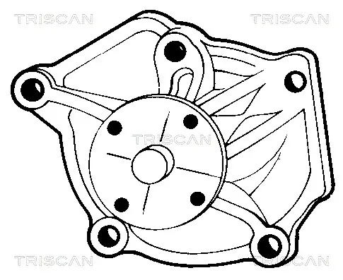 водна помпа, охлаждане на двигателя TRISCAN             