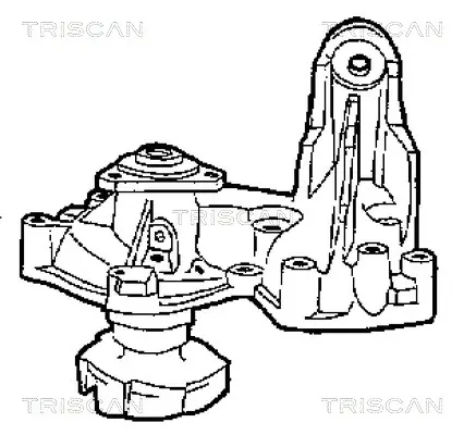 водна помпа, охлаждане на двигателя TRISCAN             