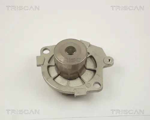 Водна помпа, охлаждане на двигателя TRISCAN