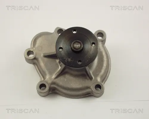 Водна помпа, охлаждане на двигателя TRISCAN