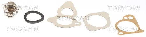 термостат, охладителна течност TRISCAN             