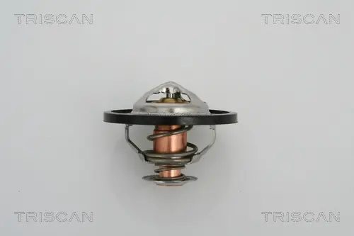 термостат, охладителна течност TRISCAN             