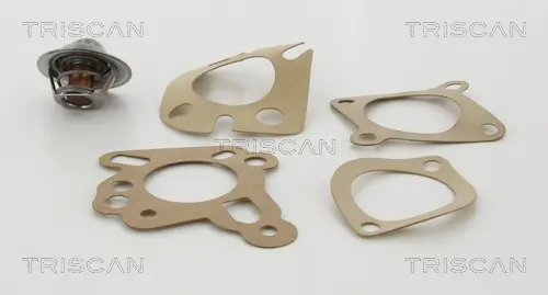 термостат, охладителна течност TRISCAN             