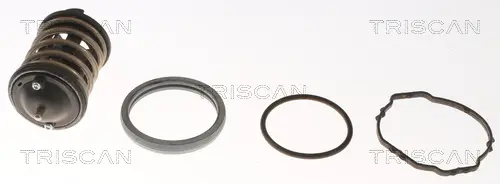 термостат, охладителна течност TRISCAN             