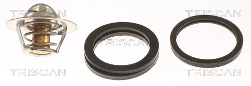 термостат, охладителна течност TRISCAN             