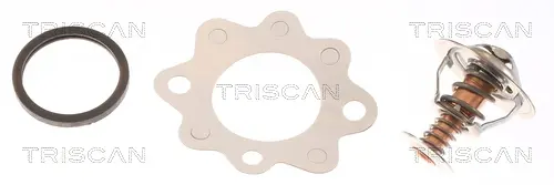 Термостат, охладителна течност TRISCAN