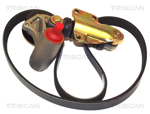 комплект пистов ремък TRISCAN             