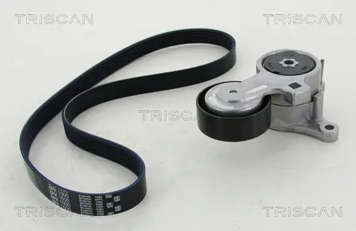 комплект пистов ремък TRISCAN             