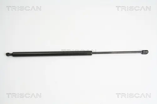 газов амортисьор, багажно-товарно пространство TRISCAN             