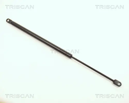 газов амортисьор, капак на двигателя TRISCAN             