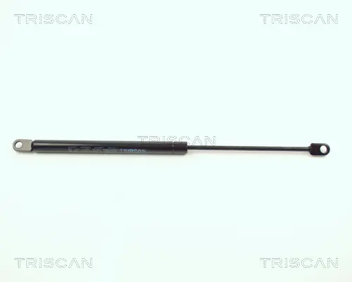 газов амортисьор, капак на двигателя TRISCAN             