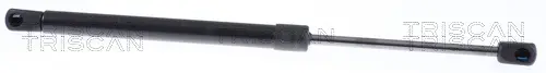 газов амортисьор, багажно-товарно пространство TRISCAN             