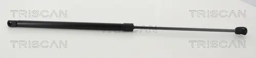 газов амортисьор, багажно-товарно пространство TRISCAN             