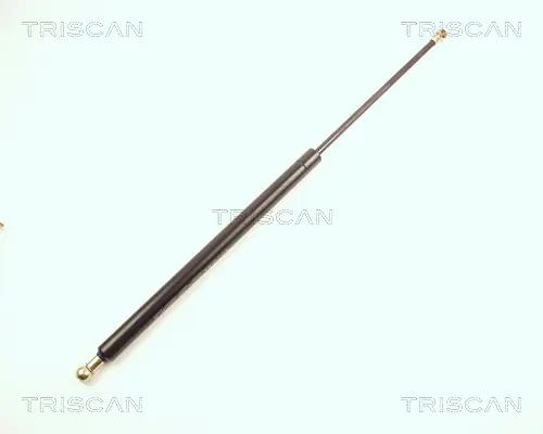 Газов амортисьор, багажно товарно пространство TRISCAN