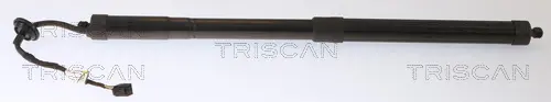 газов амортисьор, багажно/товарно пространство TRISCAN             