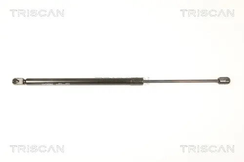 газов амортисьор, багажно-товарно пространство TRISCAN             