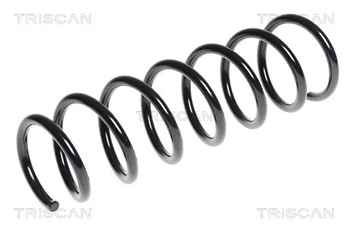 пружина за ходовата част TRISCAN             