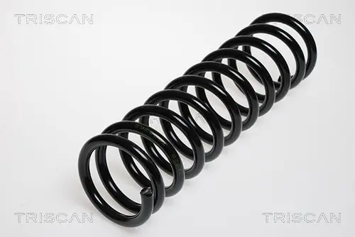 Пружина за ходовата част TRISCAN
