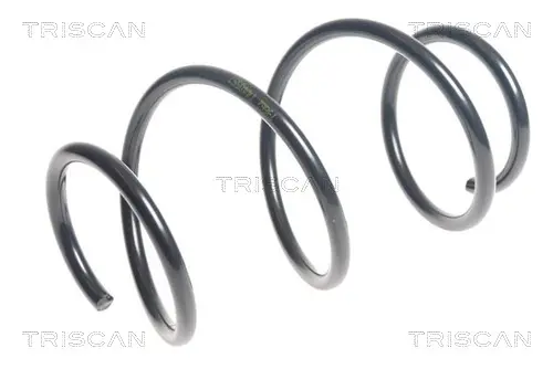Пружина за ходовата част TRISCAN