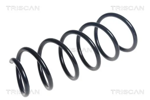 пружина за ходовата част TRISCAN             