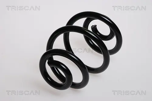 Пружина за ходовата част TRISCAN