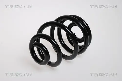 пружина за ходовата част TRISCAN             