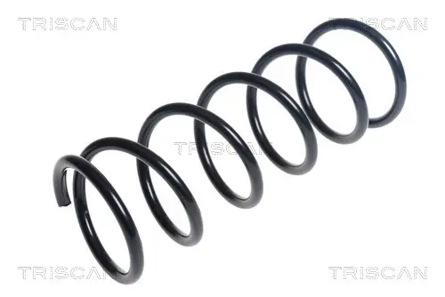 пружина за ходовата част TRISCAN             