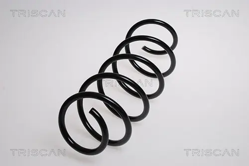 пружина за ходовата част TRISCAN             