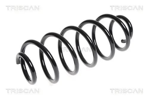 пружина за ходовата част TRISCAN             