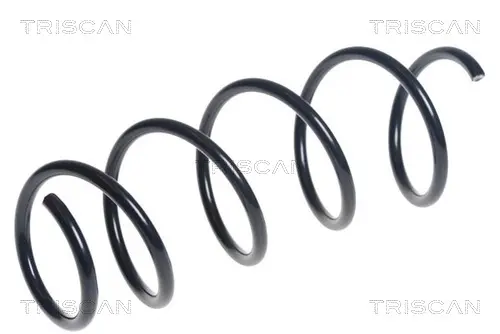 пружина за ходовата част TRISCAN             
