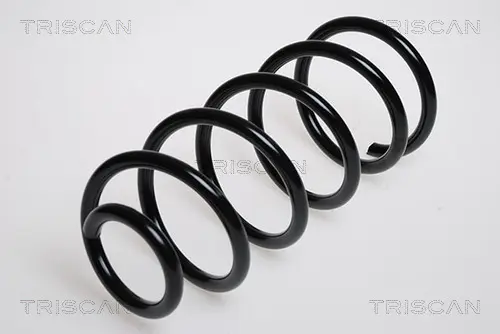пружина за ходовата част TRISCAN             