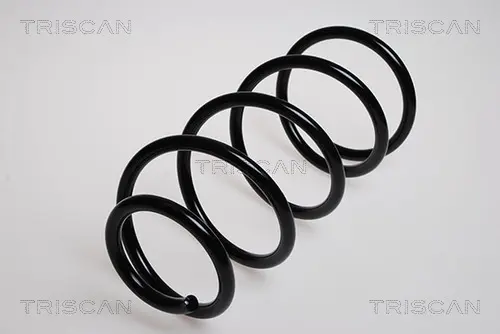Пружина за ходовата част TRISCAN