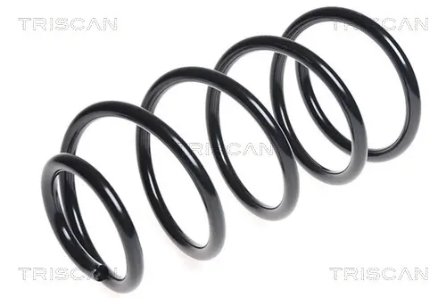Пружина за ходовата част TRISCAN