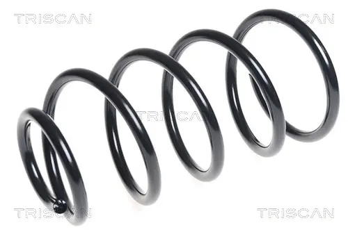 Пружина за ходовата част TRISCAN
