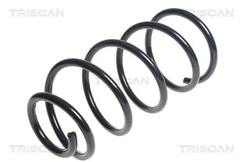пружина за ходовата част TRISCAN             