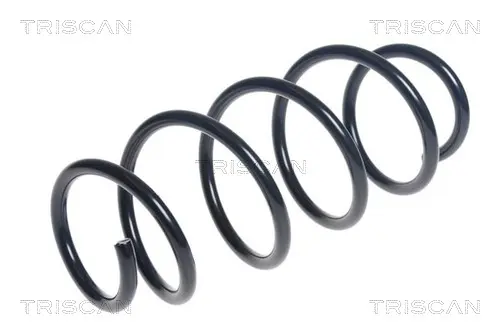 пружина за ходовата част TRISCAN             