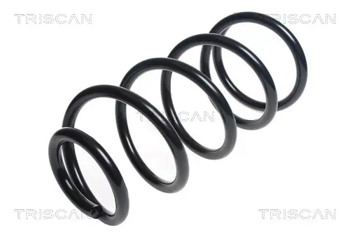 пружина за ходовата част TRISCAN             