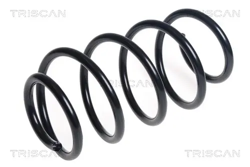 пружина за ходовата част TRISCAN             