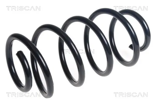 пружина за ходовата част TRISCAN             