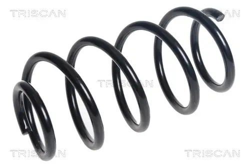 пружина за ходовата част TRISCAN             