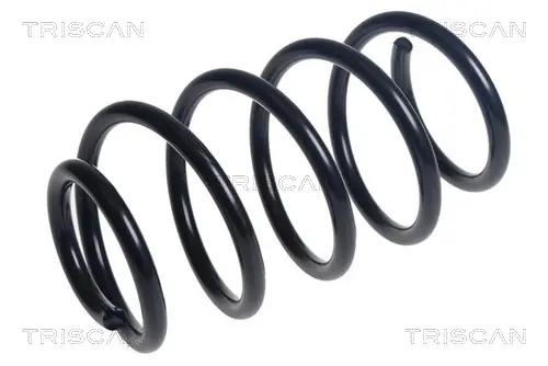 пружина за ходовата част TRISCAN             