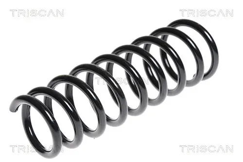 пружина за ходовата част TRISCAN             