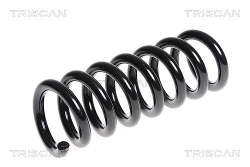 пружина за ходовата част TRISCAN             