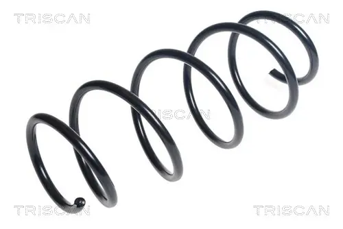 пружина за ходовата част TRISCAN             