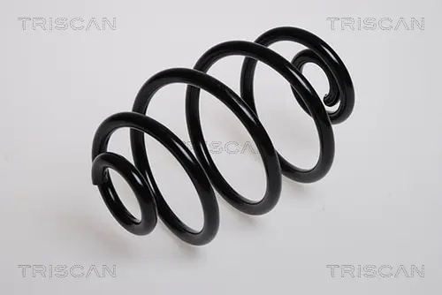 Пружина за ходовата част TRISCAN