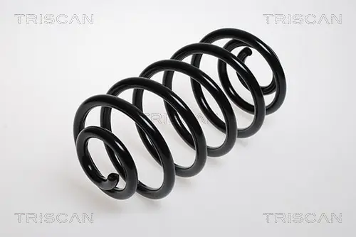 Пружина за ходовата част TRISCAN