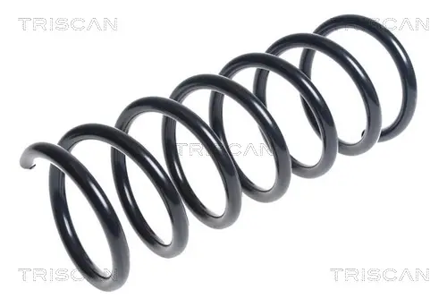 пружина за ходовата част TRISCAN             